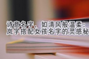 诗意名字，如清风般温柔：岚字搭配女孩名字的灵感秘籍