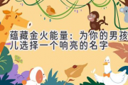 蕴藏金火能量：为你的男孩儿选择一个响亮的名字