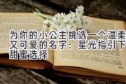 为你的小公主挑选一个温柔又可爱的名字：星光指引下的甜蜜选择