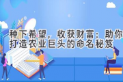 种下希望，收获财富：助你打造农业巨头的命名秘笈