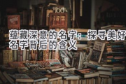 蕴藏深意的名字：探寻美好名字背后的含义
