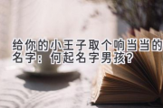 给你的小王子取个响当当的名字：何起名字男孩？