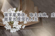 锡字辈男孩：取名宝典，成就星光熠熠的人生