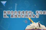 解锁你的星魂密码：寻找最酷、最独特的网络身份