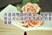 大连动物园的萌宝：揭秘那些让人心动的名字背后的星座奥秘