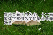 揭秘星光下的名字：十二画繁体字常用名字的奥秘与美好寓意