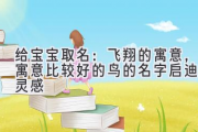 给宝宝取名：飞翔的寓意，寓意比较好的鸟的名字启迪的灵感