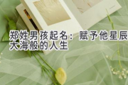 郑姓男孩起名：赋予他星辰大海般的人生