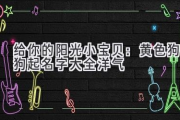 给你的阳光小宝贝：黄色狗狗起名字大全洋气