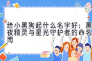 给小黑狗起什么名字好：黑夜精灵与星光守护者的命名指南