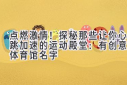点燃激情！探秘那些让你心跳加速的运动殿堂：有创意的体育馆名字