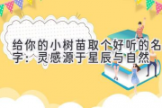 给你的小树苗取个好听的名字：灵感源于星辰与自然
