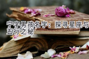 宁字男孩名字：探寻星座与五行之秘