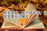 熙字搭配，取个好名字，让宝宝星光闪耀！