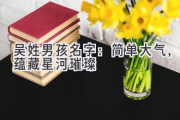 吴姓男孩名字：简单大气，蕴藏星河璀璨