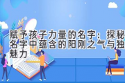 赋予孩子力量的名字：探秘名字中蕴含的阳刚之气与独特魅力