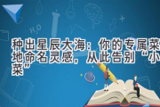 种出星辰大海：你的专属菜地命名灵感，从此告别“小白菜”