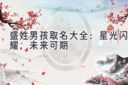 盛姓男孩取名大全：星光闪耀，未来可期