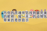 为你的灵魂伴侣找到最完美的昵称：独一无二的动物名字带来的奇妙启示