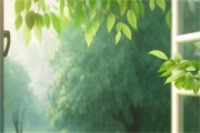 依晨女孩名字寓意
