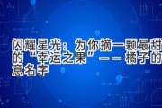 闪耀星光：为你摘一颗最甜的“幸运之果”——橘子的创意名字