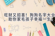 旺财又招喜！狗狗名字大全，助你家毛孩子幸福一生！