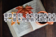 夏姓男孩，大气有涵养的名字：赋予他星辰大海的未来