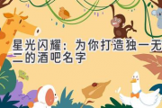 星光闪耀：为你打造独一无二的酒吧名字