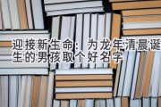 迎接新生命：为龙年清晨诞生的男孩取个好名字