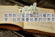 给你的小宝贝取个闪耀的名字：比珍珠更珍贵的贝壳灵感
