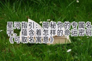 星河指引：揭秘你的专属名字，蕴含着怎样的命运密码？《可取名寓意》