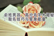 俞姓男孩，高分名字大揭秘：取名技巧与星象能量