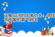征服山河的王者之名：寻找你专属的霸气网名