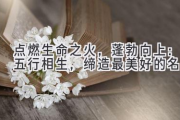 点燃生命之火，蓬勃向上：五行相生，缔造最美好的名字