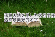 蕴藏天地之灵：为您的男孩选择最美好的名字