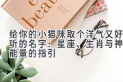 给你的小猫咪取个洋气又好听的名字：星座、生肖与神秘能量的指引