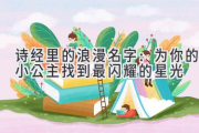 诗经里的浪漫名字：为你的小公主找到最闪耀的星光