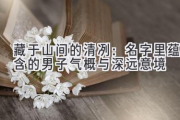 藏于山间的清冽：名字里蕴含的男子气概与深远意境