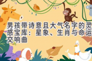 男孩带诗意且大气名字的灵感宝库：星象、生肖与命运的交响曲