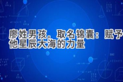 廖姓男孩，取名锦囊：赋予他星辰大海的力量