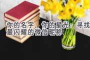 你的名字，你的星光：寻找最闪耀的微信昵称