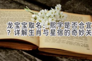 龙宝宝取名：熙字是否合宜？详解生肖与星宿的奇妙关系