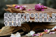 揭秘星光下的命名密码：好听简洁的名字，为你量身打造专属星名