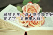 韩姓男孩，取个响亮寓意好的名字，让未来闪耀！