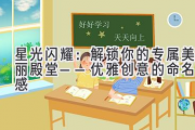 星光闪耀：解锁你的专属美丽殿堂——优雅创意的命名灵感