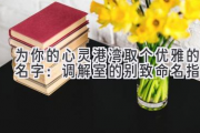 为你的心灵港湾取个优雅的名字：调解室的别致命名指南