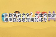 寻找梦幻之名：为你的优雅猫咪挑选最完美的称呼