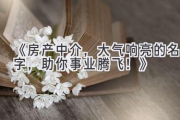 《房产中介，大气响亮的名字，助你事业腾飞！》
