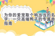 为你的爱宠取个响当当的名字：一只高端鸭子的专属命名指南