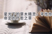 星光下的草木精灵：寻找你命定的疗愈之草